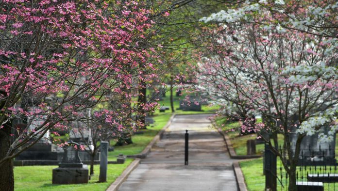 Huntsville city council: Move Confederate monument to historic Maple Hill Cemetery