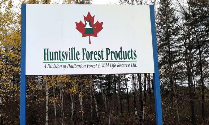 Haliburton Forest acquires Huntsville sawmill from Rayonier in 2020
